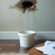 Is Water Damage Covered by Home Insurance?
